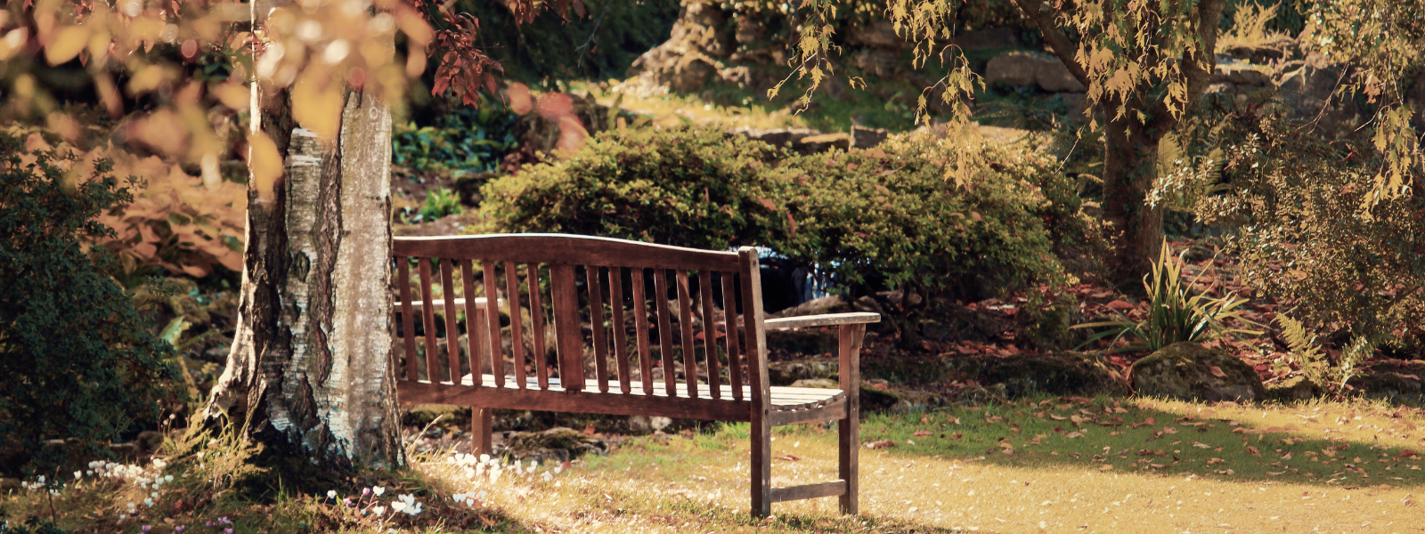 Banc en bois dans un jardin automnal symbolisant la pause et la régulation dans le couple